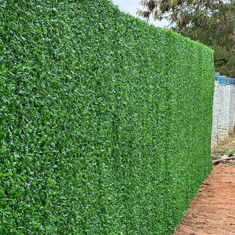 WhatsApp Image 2026-03-07 at 9.33.20 AM